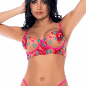 2-Piece Pink and Blue Embroidered Mesh Set, Bra and Thong - MAL8927SEGA