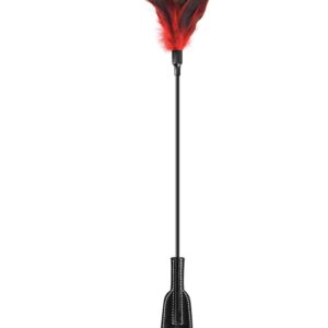 Black BDSM whip with black red feathers - CC570074
