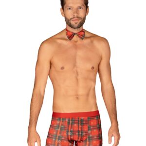 Mr Merrilo - Boxer and Red Bow Tie