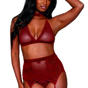 4-piece set red bra, choker, thong, and garter belt - DG11776GAR
